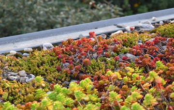 the cost of Marbury green roof installation