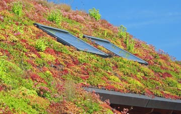 Marbury living roof systems
